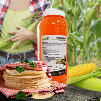 venta de Antiadherente Teflonox 30